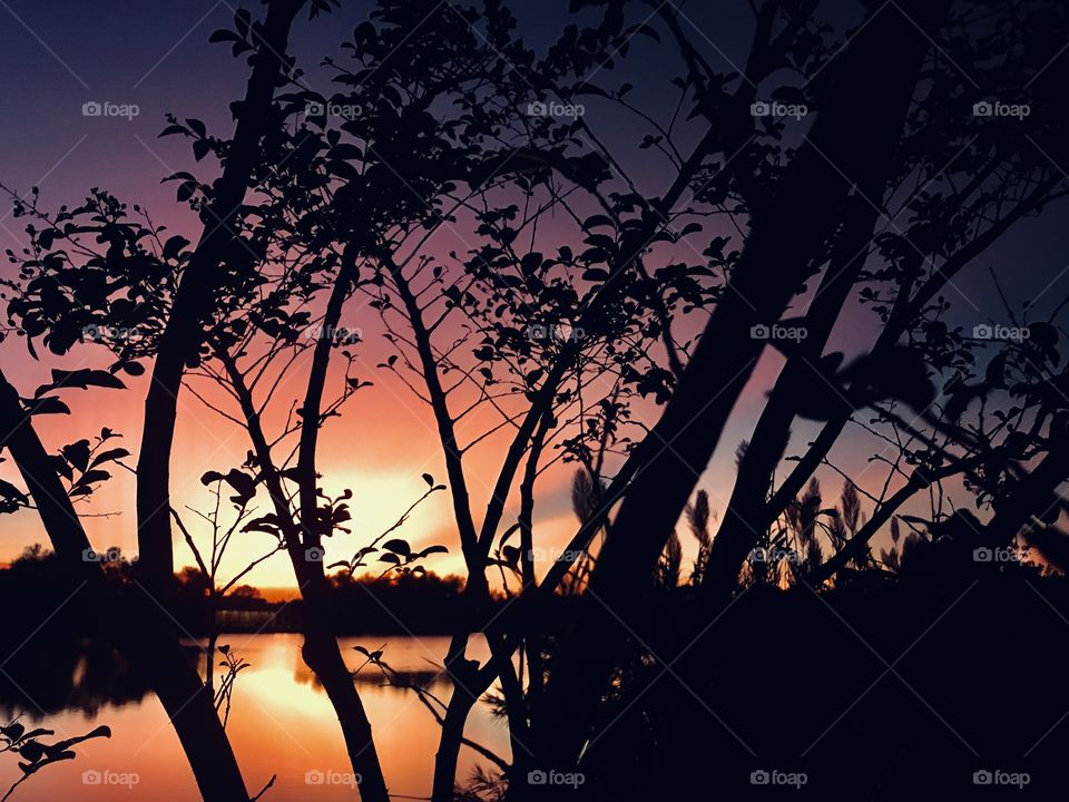 Hot Summer Day 2019, Scenery bright Sunny turned into a Gorgeous Evening. All colors of the Sunset Pattern high in the sky Blue Violet Hues sun travels coming down Reds, Yellows, Oranges mixed making this Beautiful.