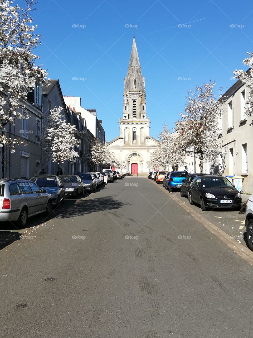Blossom, St Claire church, Nantes