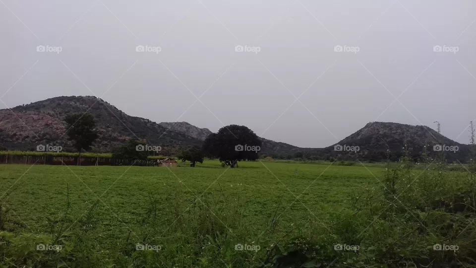 greenary