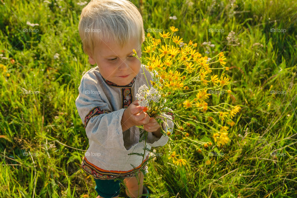 Boy is gathering a bouquet with yellow flowers