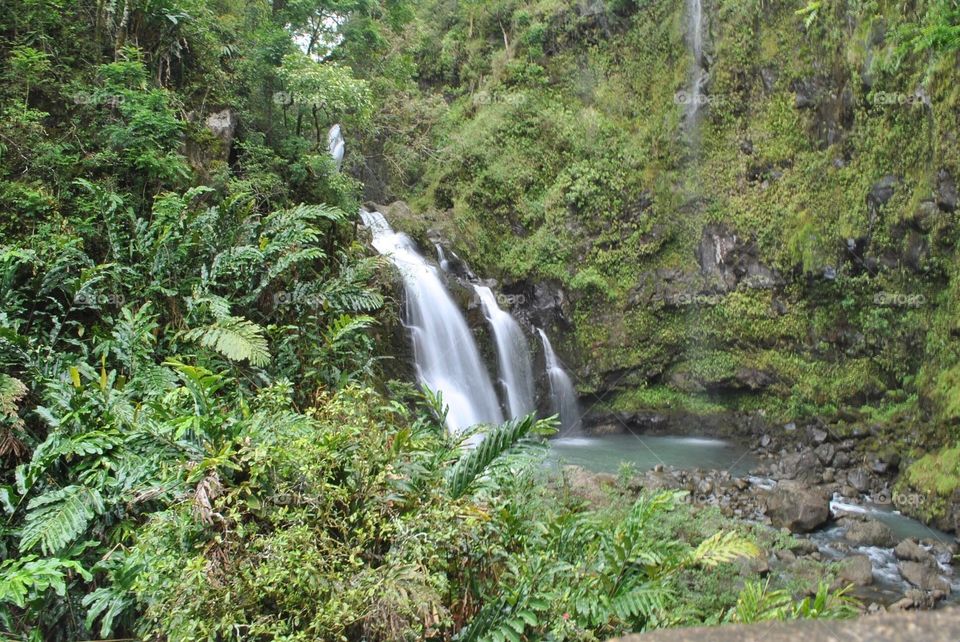 Hawaii falls, Maui.