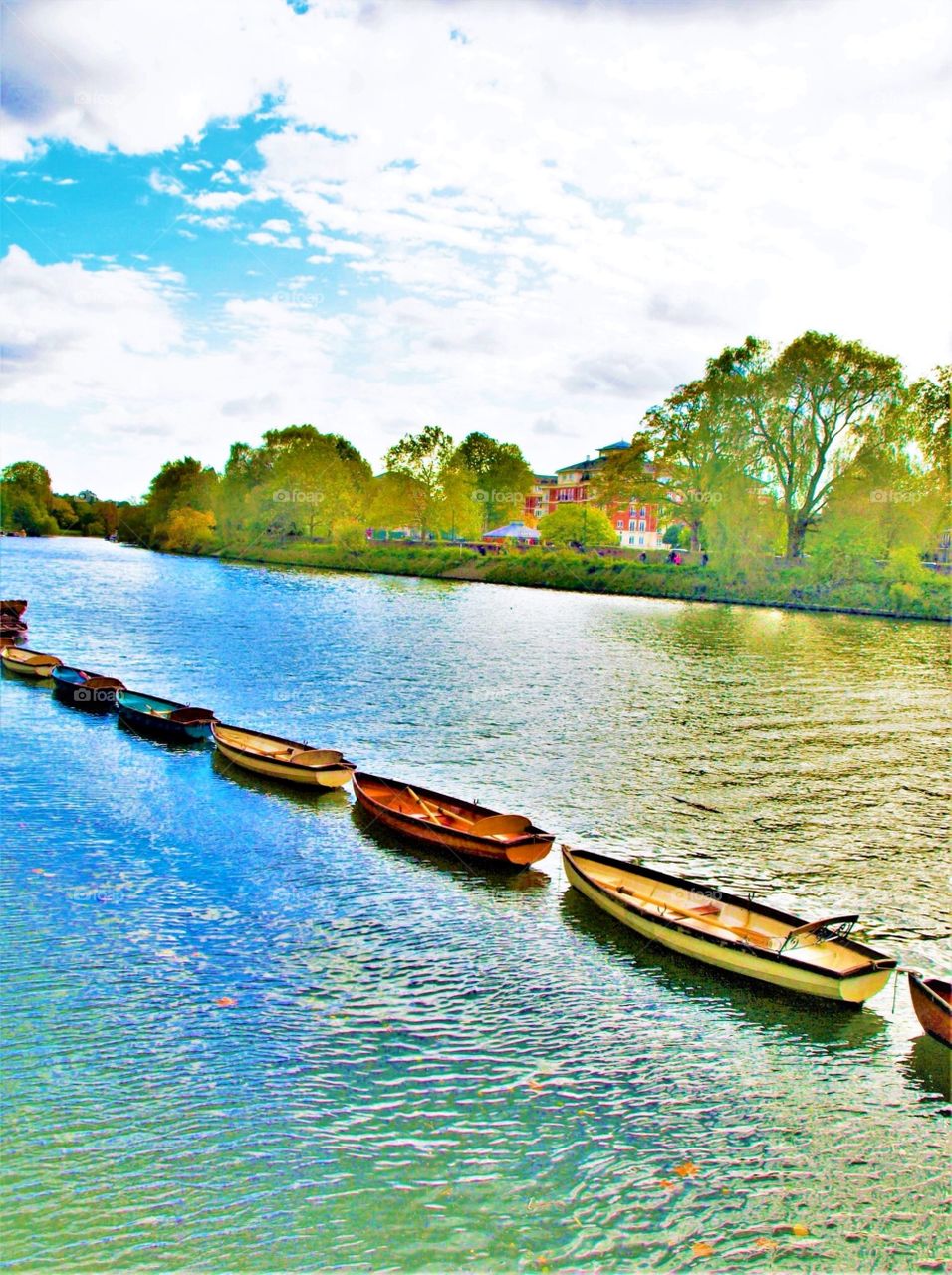 Colourful rowing boats on the Thames in Richmond, London 