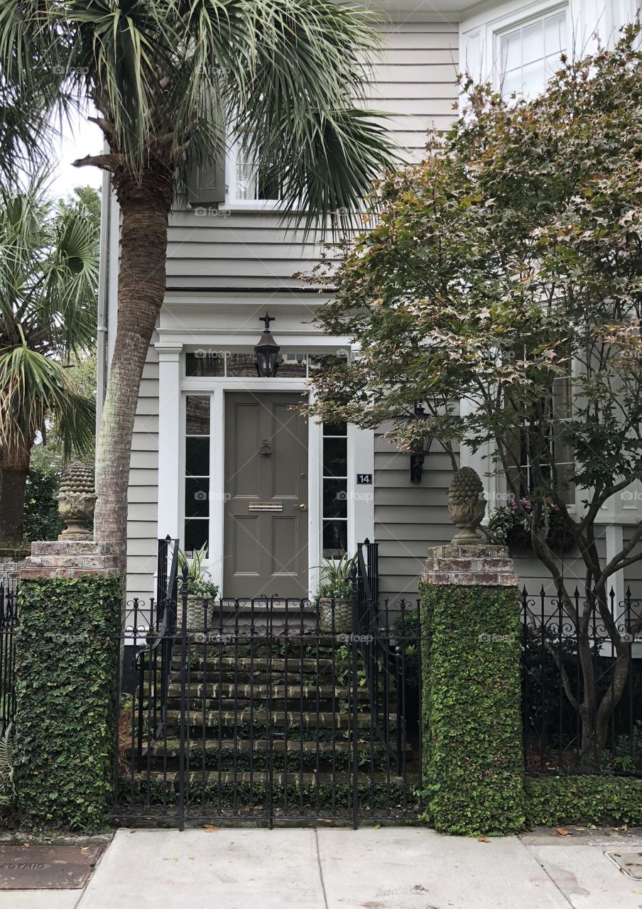 Architectural doors and iron gates