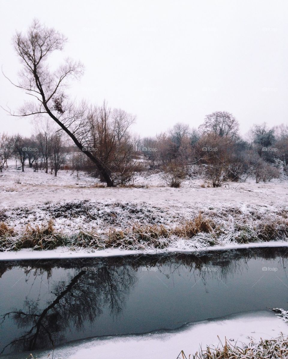 Nature reflections