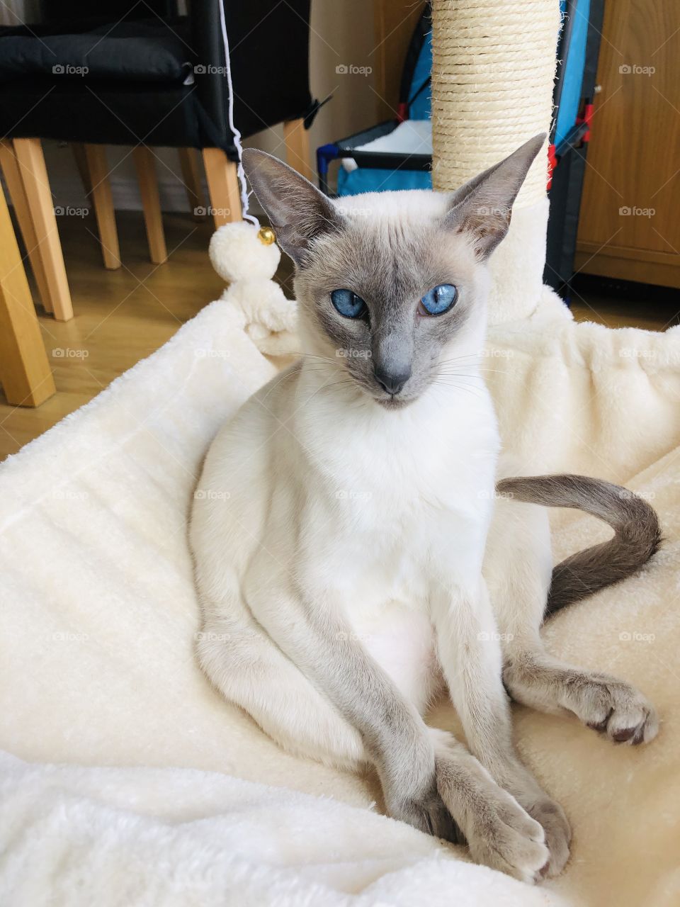 Ohhhh why are you sat like a chicken 🐓