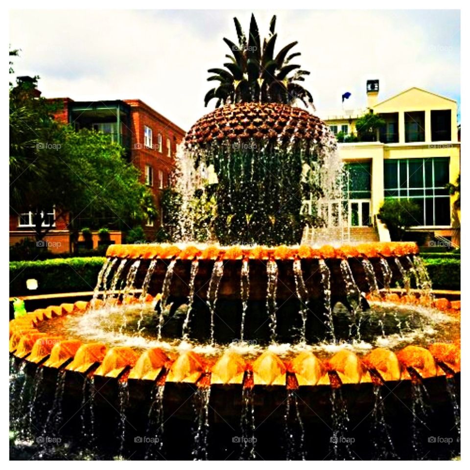 Pineapple Fountain