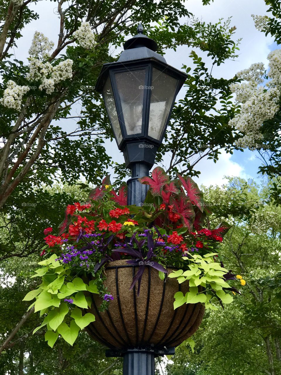 Hanging baskets and decorative street lamps 