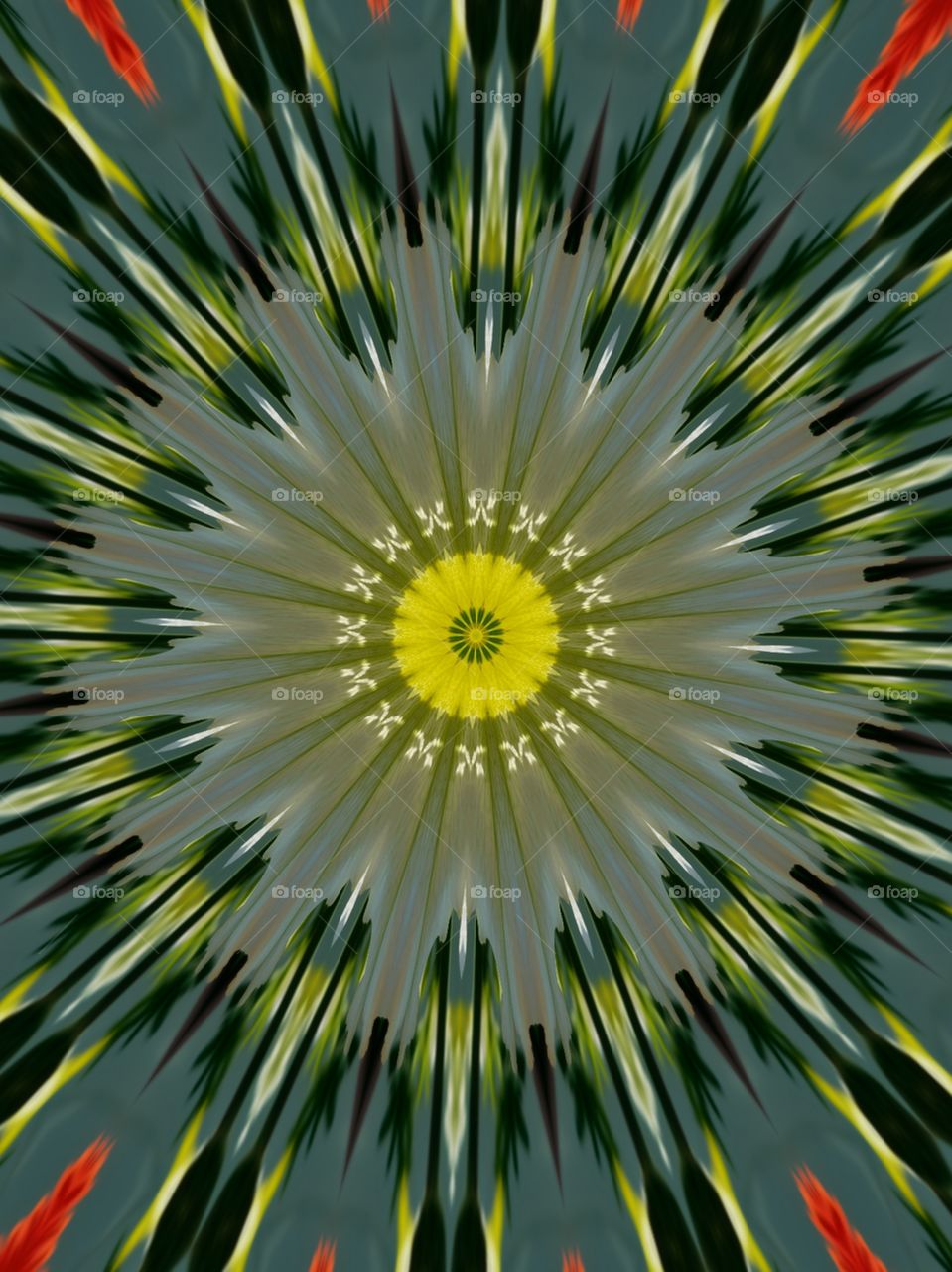 kaleidoscope  image of buttercups