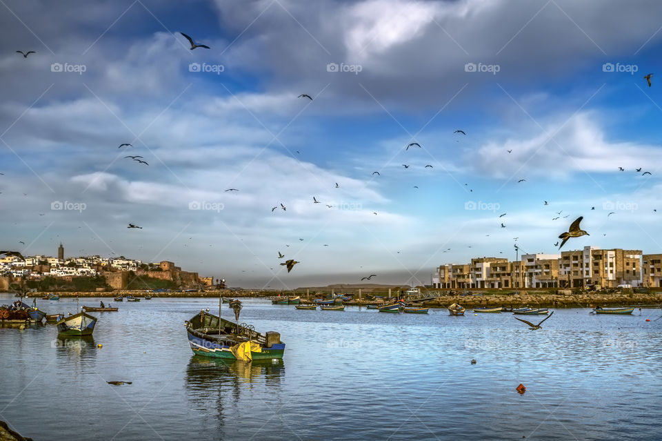 The endless blue sky covered with a cloudy pattern is reflected in the waters of the Bou Regrer River (Rabat, Morocco), and seagulls circling over the river against the background of the old fortress and the mouth of the river
