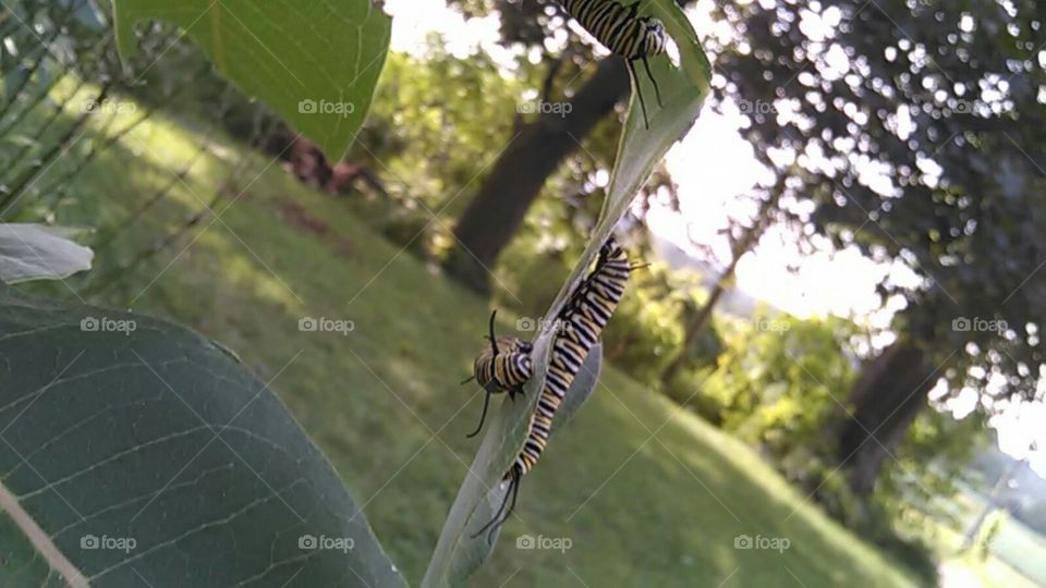 changes are coming soon.