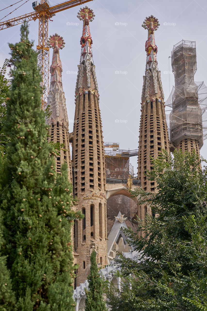 Sagrada Familia from the park beside