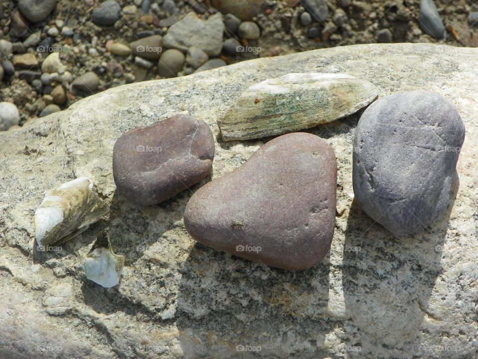 I love rock and shell collecting with my grand daughter and daughter so we can paint on a rainy, snowy day