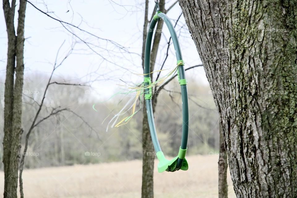Swing hanging from the tree in the wind