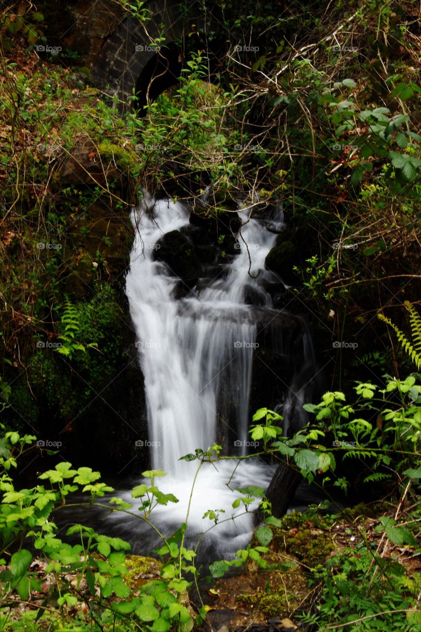 waterfall