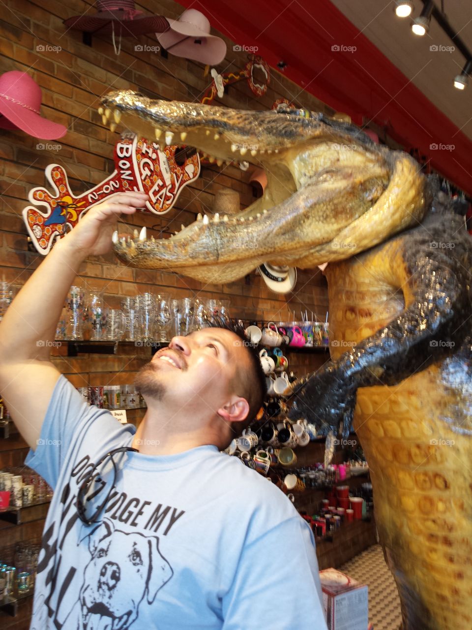 New Orleans stuffed gator in souvenir shop