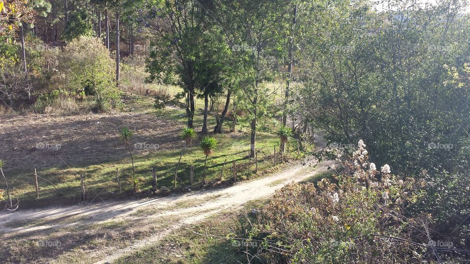 Humble Road. Dirt road found in the hills of Huehuetenango, Guatemala 