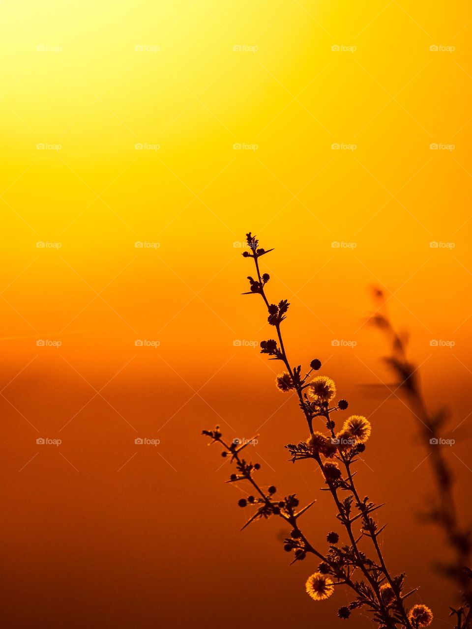 sunset 🌇