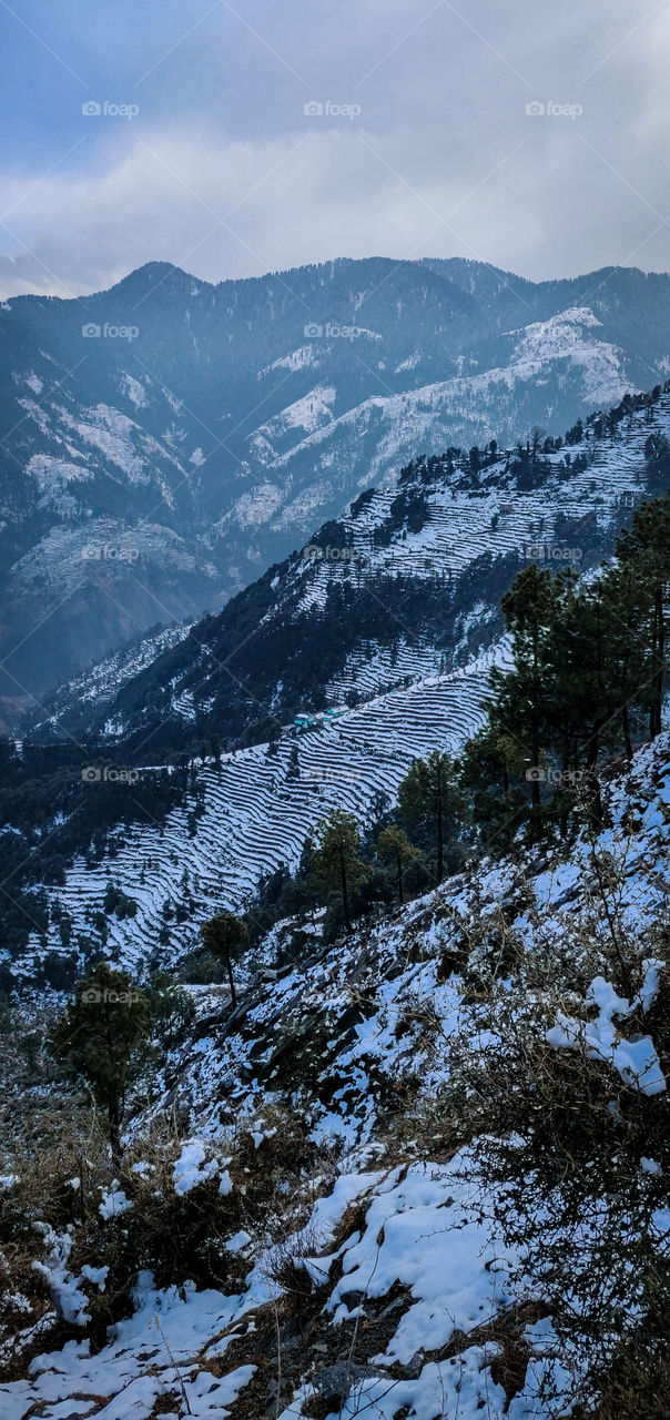 that's is really perfect