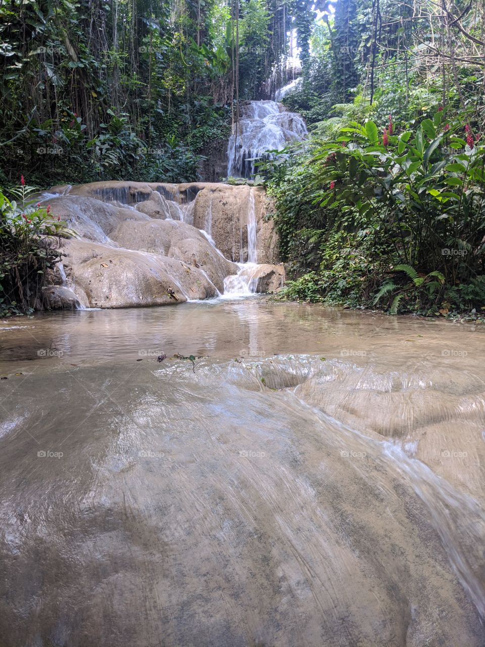 falls of Jamaica -turtle River