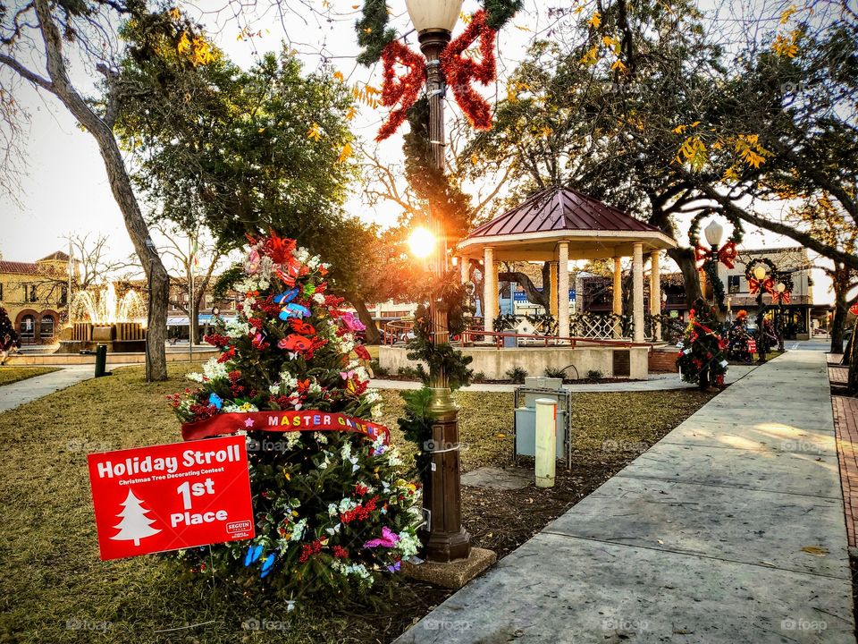 Christmas tree decoration contest at local down town park in a small town.