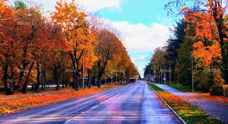 Autumn trip 🍂🍁 Road to the fall🍂🍁 Outdoor 🍂🍁