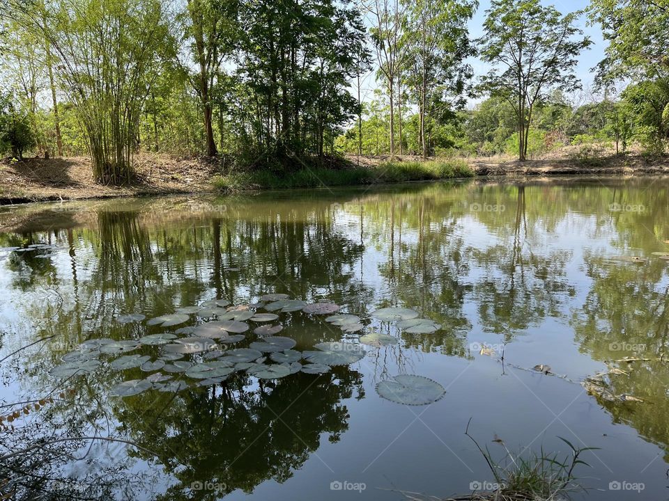 Urban Nature : Water.