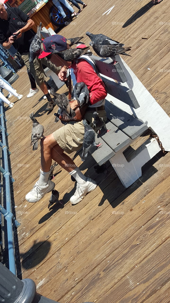 man covered in birds