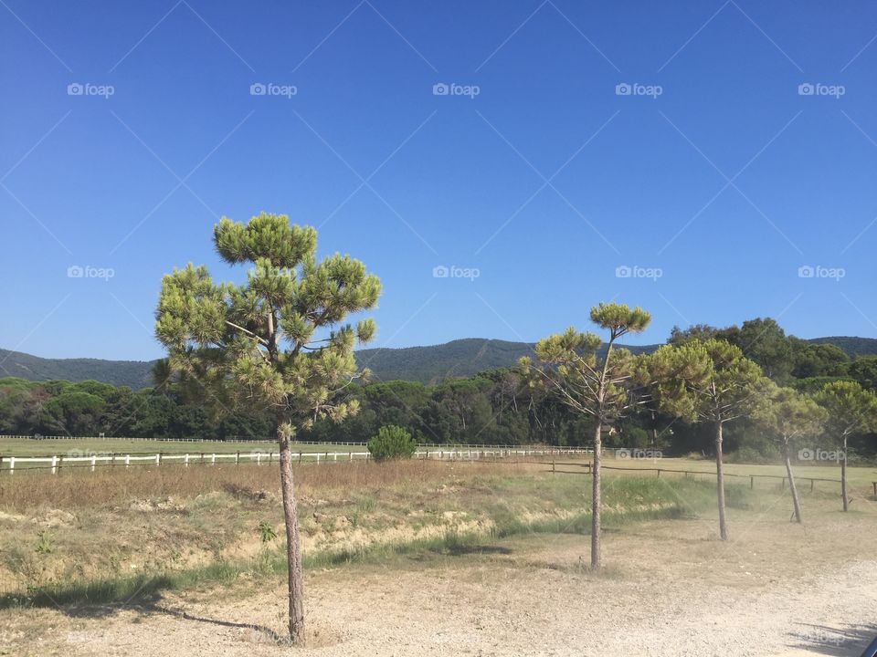 Landscape, No Person, Tree, Nature, Sky