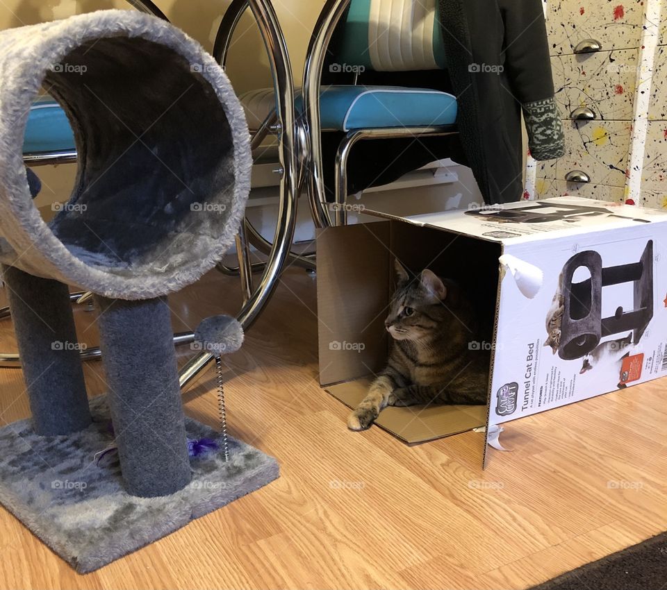 I like the box better than the toy