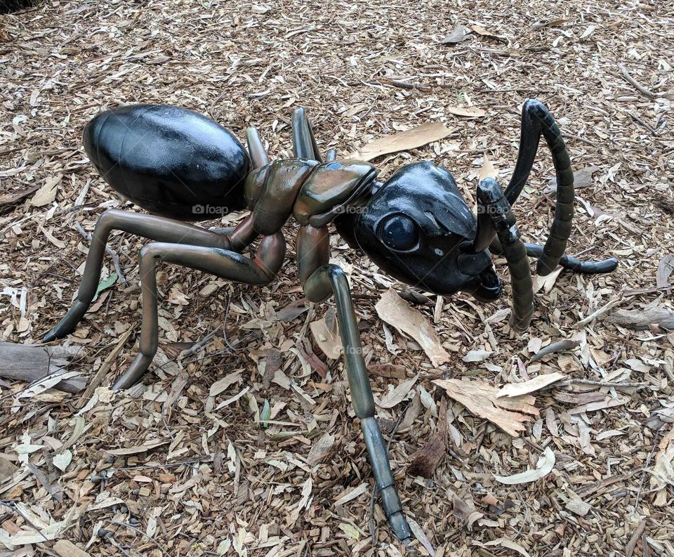sculptured ant