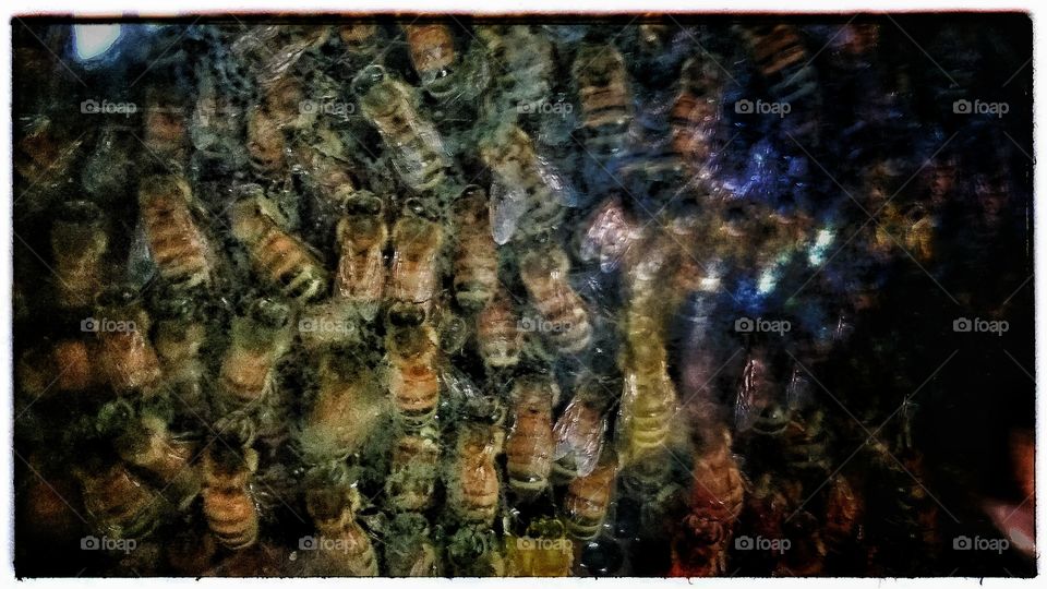 Desktop, Nature, Abstract, Pattern, Texture