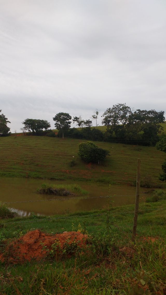 lindo
