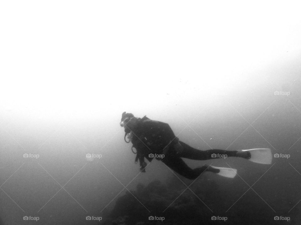 Diver in the dark. Silhouette photo of a diver at grate barrier reef australia