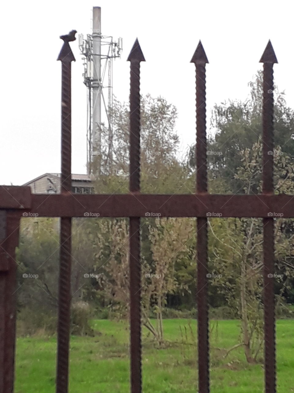 Earth by humans - corrugated fence and a chimney