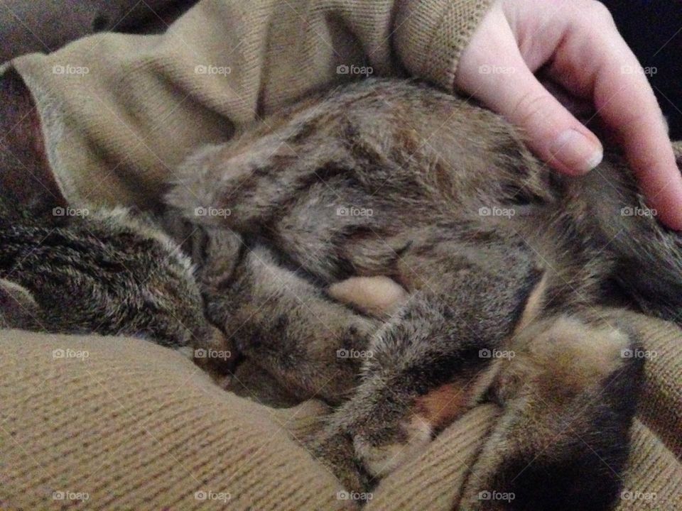 Cuddles from a little babe