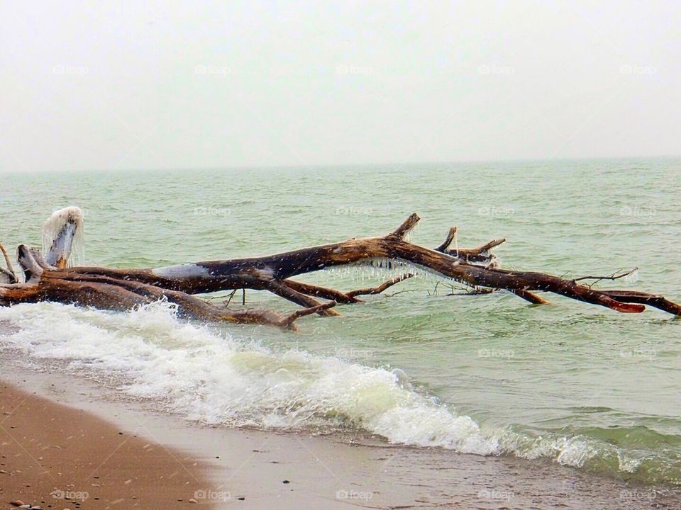 Point Pelee national park Southern most tip in Ontario