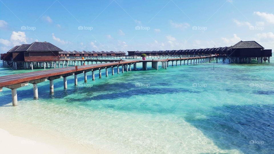 maldives