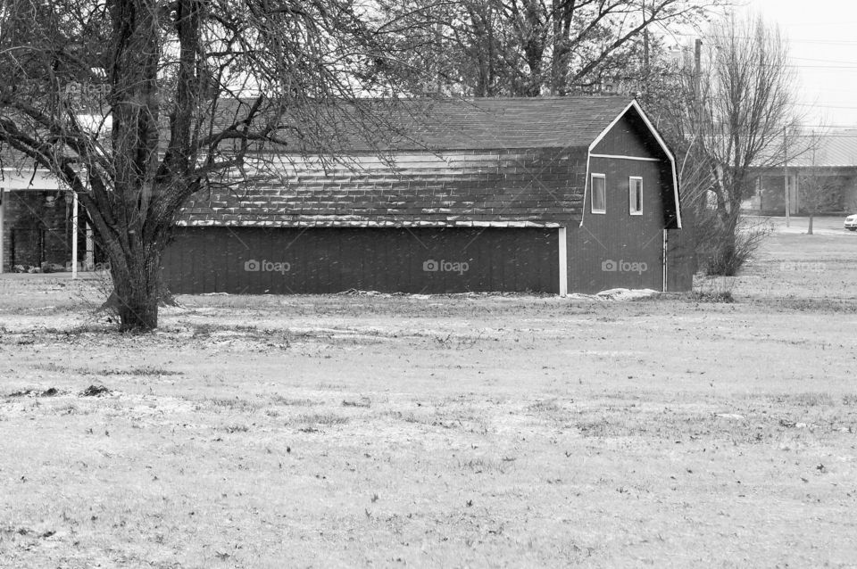 Grass and long barn.. Black and white photo taken in Oklahoma.