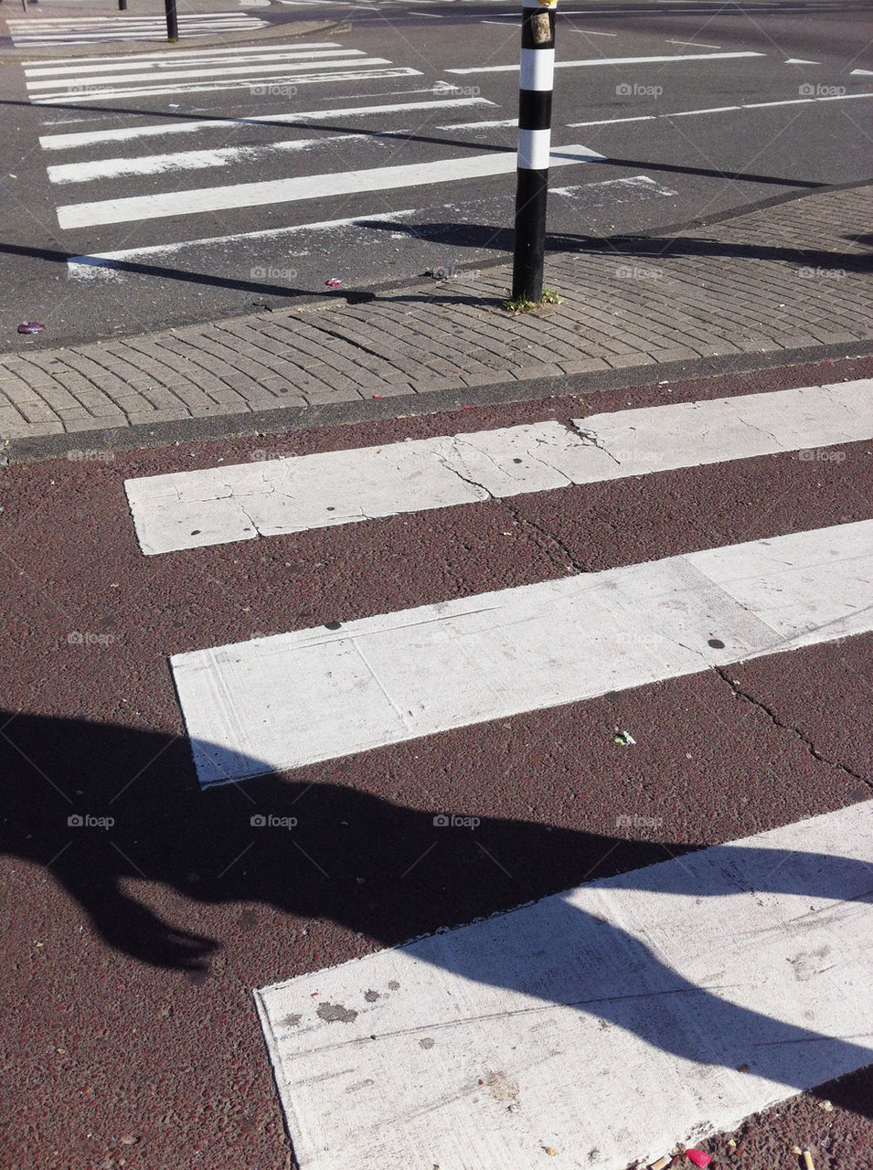 ZEBRA CROSSING