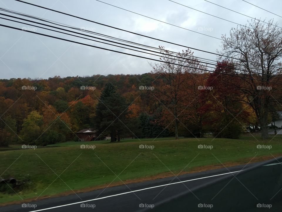 Road, Transportation System, No Person, Landscape, Tree