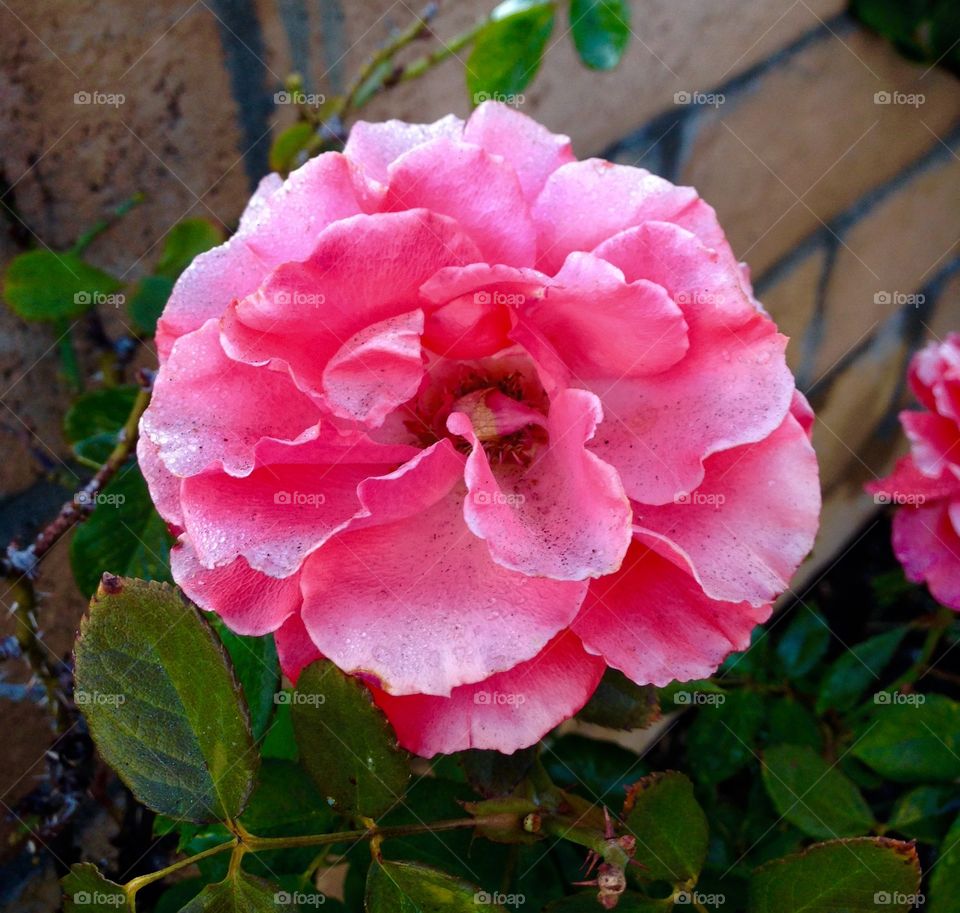 Variations on a Theme