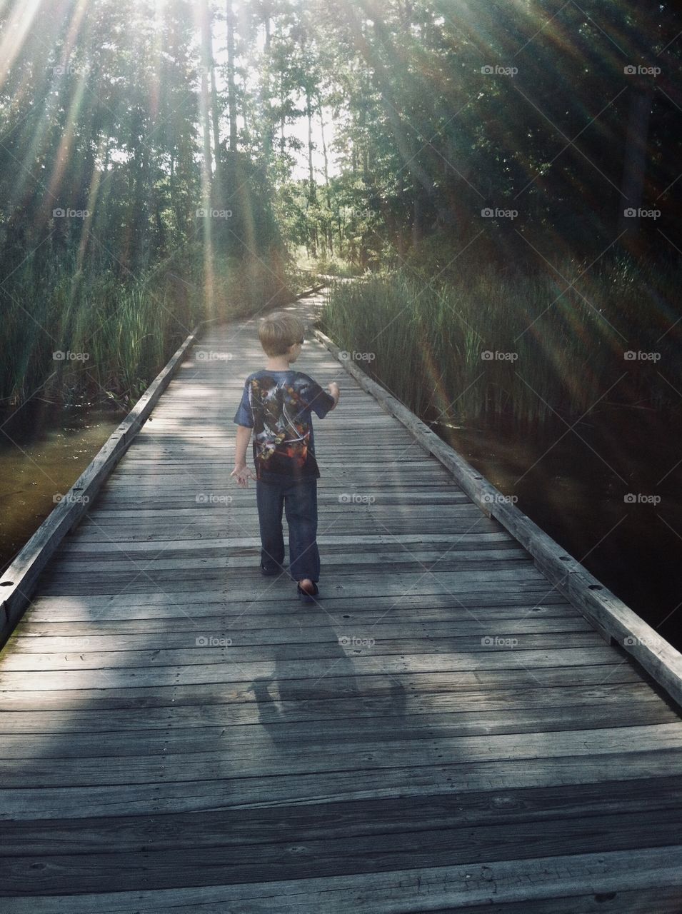 Streaming sunshine boardwalk child walking in Marshy Point Maryland 