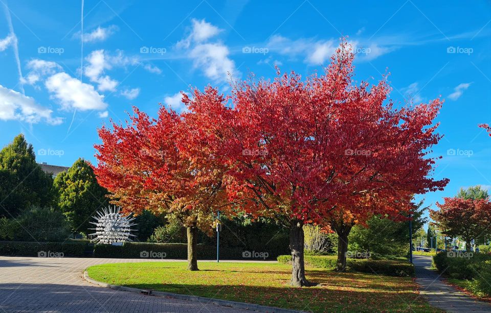 Indian summer in Holland