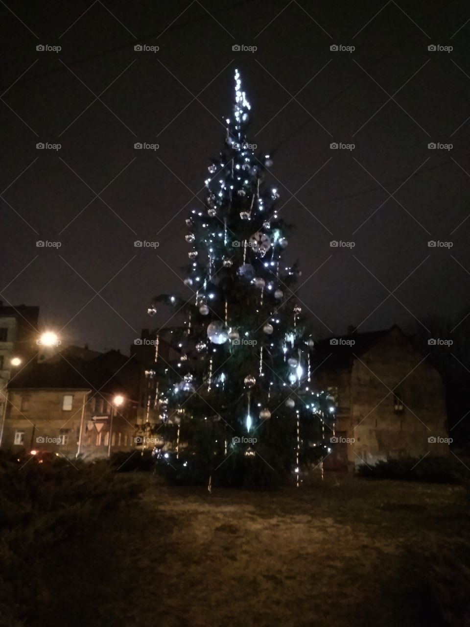 Christmas Tree in Riga city