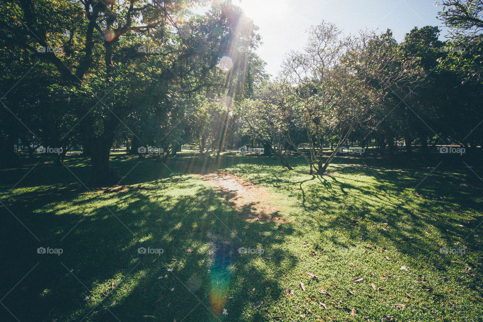 sunrise at garden