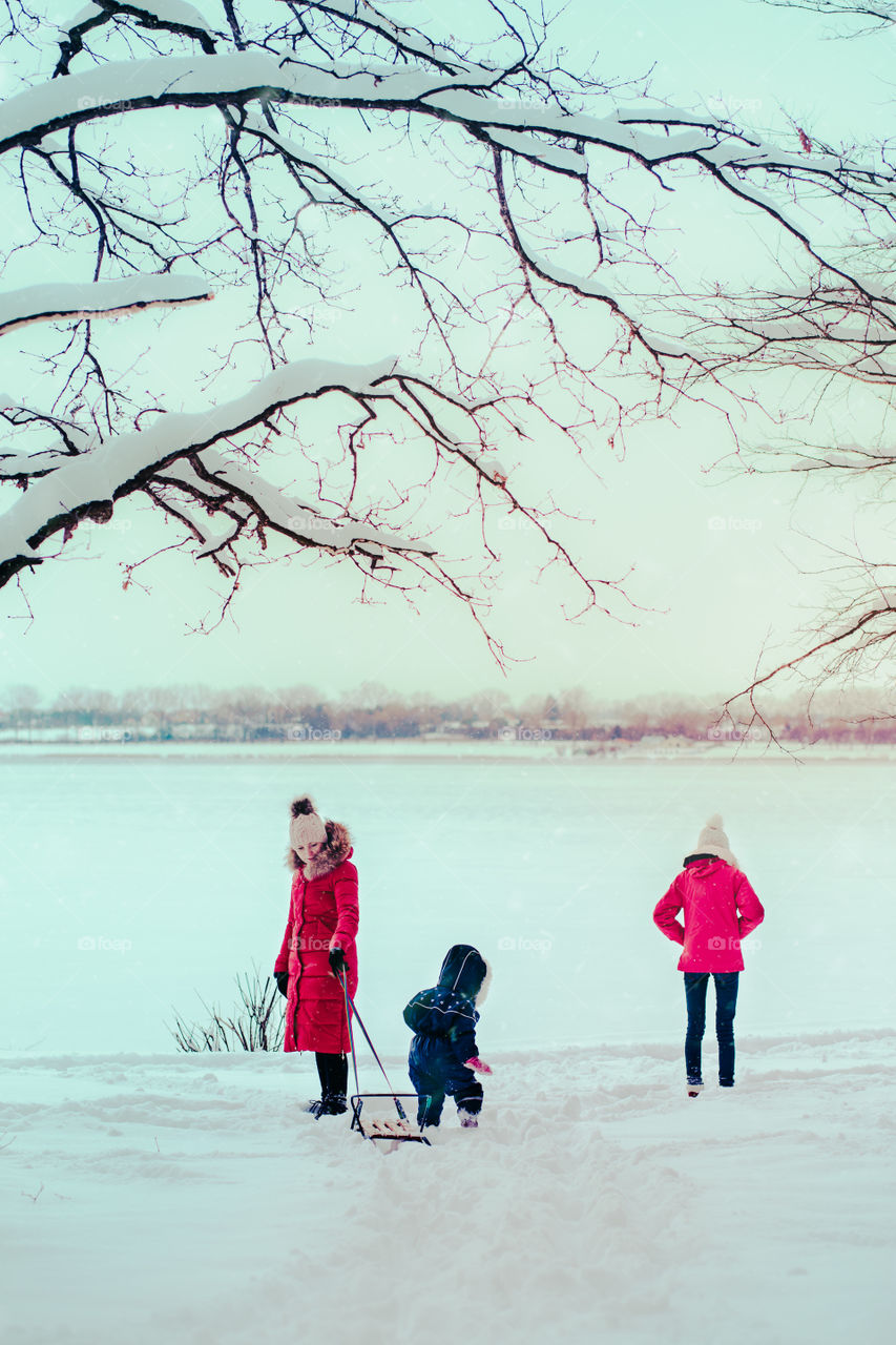 Family, mother and two daughters, spending time together walking outdoors in winter. Woman is pulling sled with her little daughter, a few years old girl, through forest covered by snow while snow falling, enjoying wintertime