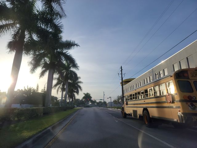 Morning bus