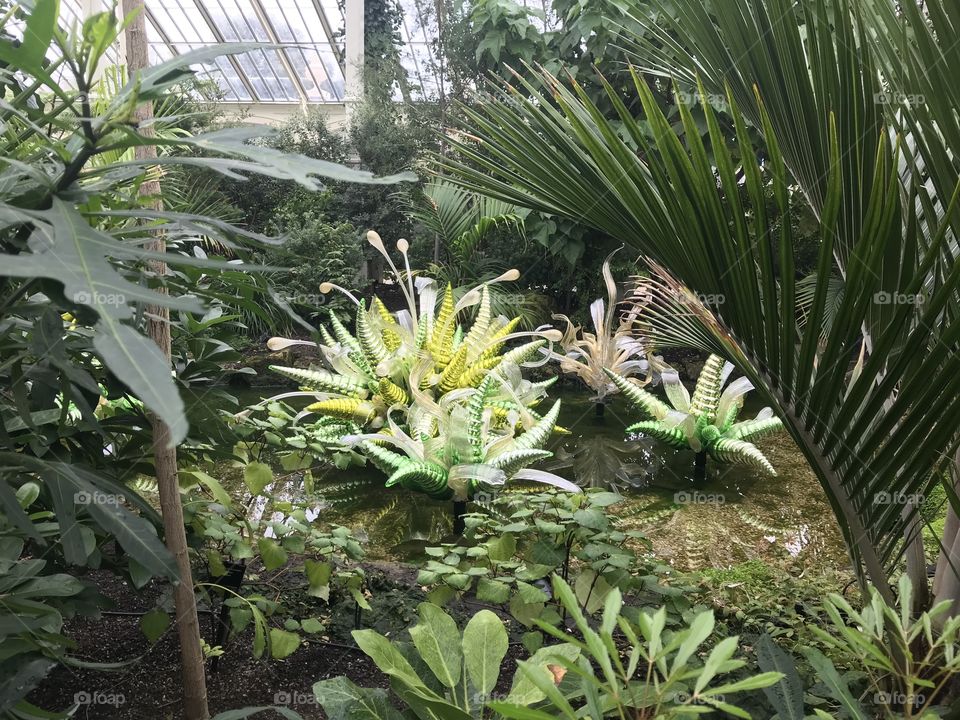 Green glass sculpture by Dale Chihuly, Kew, London 