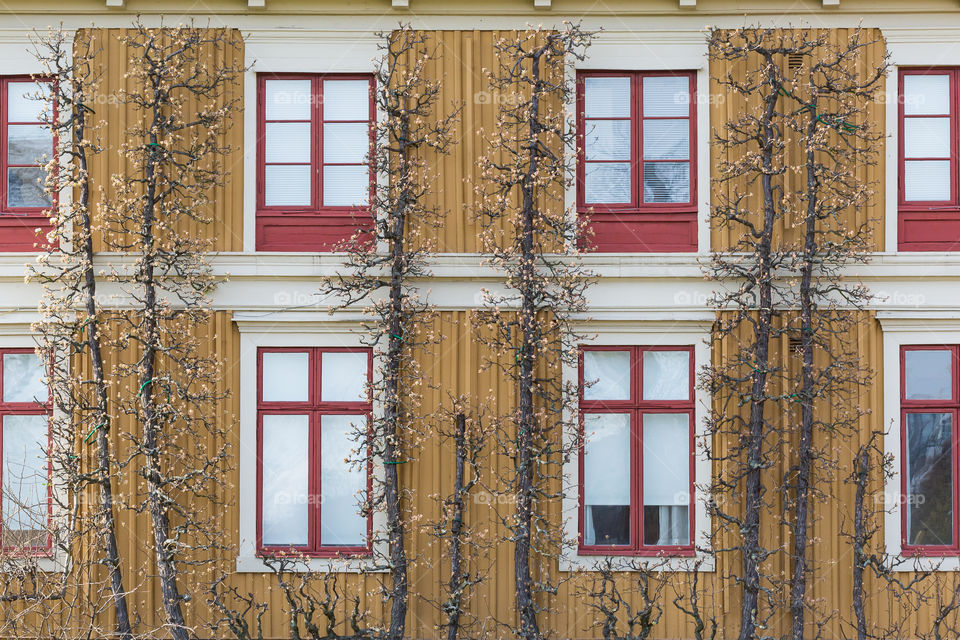 House facade with symmetrical windows and plants 