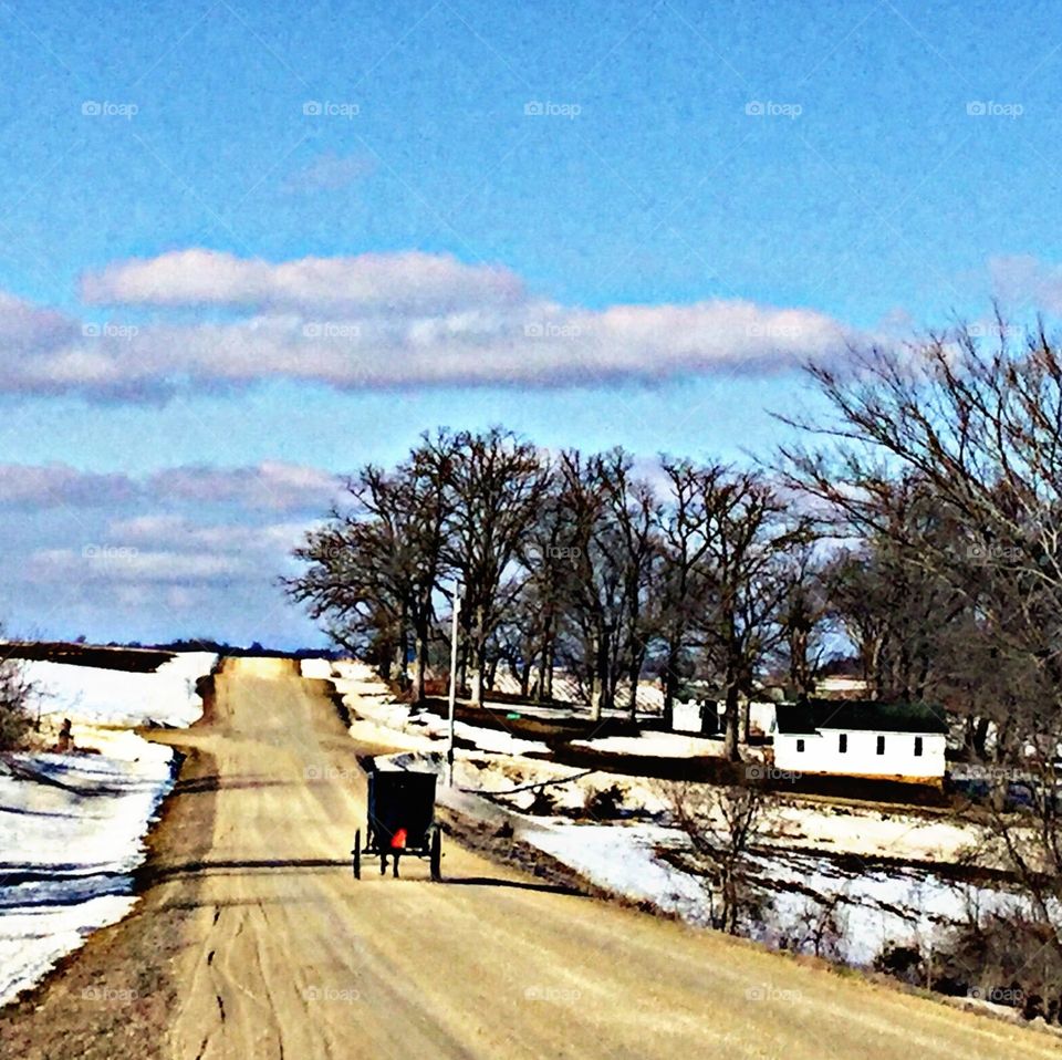 Buggy ride 